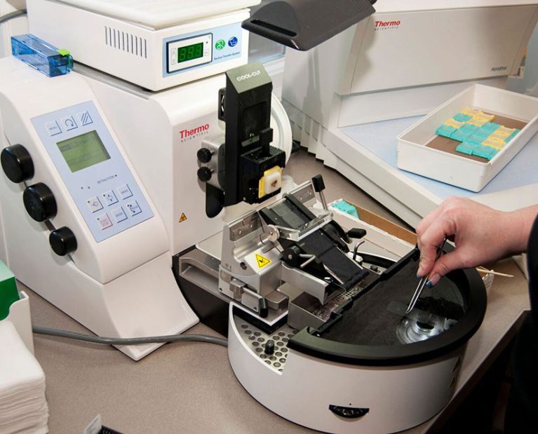 Microscope used in dermatology pathology lab